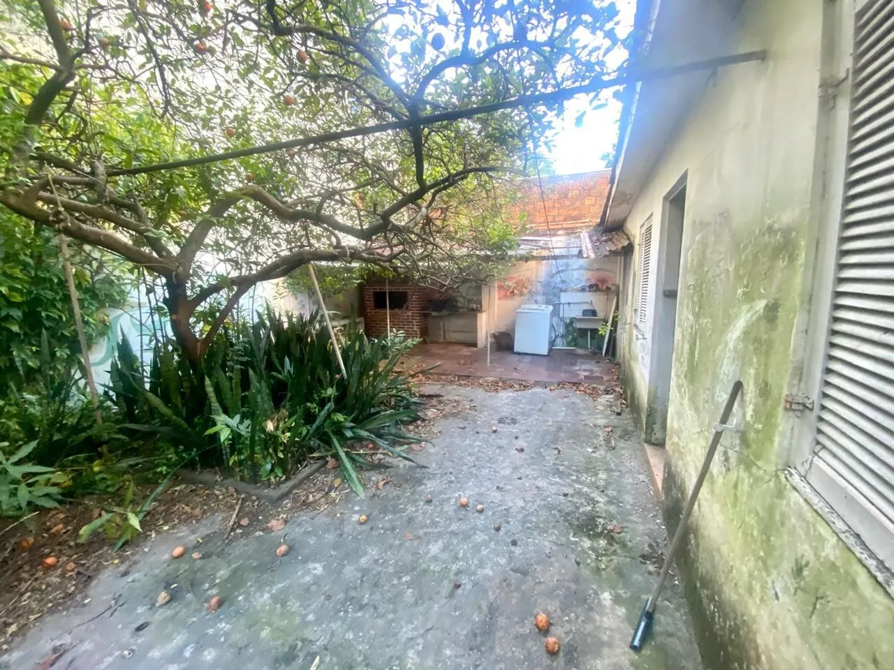 Imagem Casa Comercial em Santana