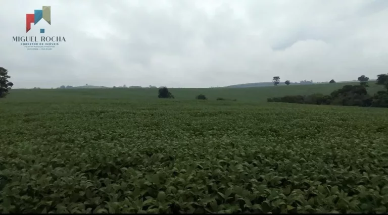 Imagem Fazenda região Itapetininga SP