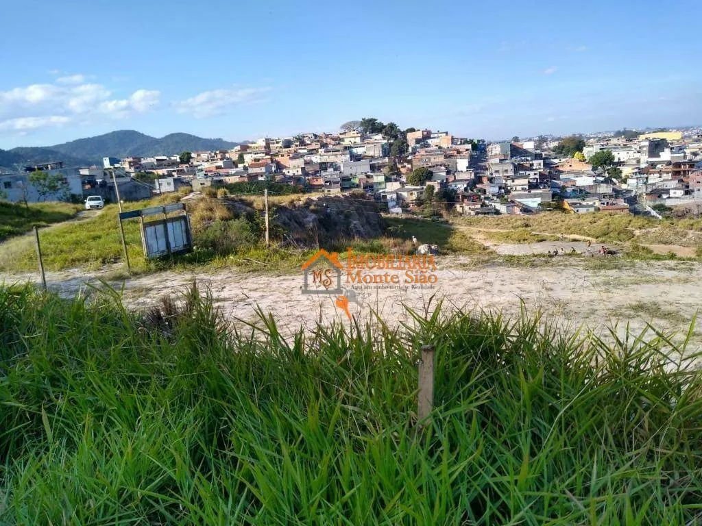 Imagem Área à venda, 39000 m² por R$ 25.000.000,00 - Parque Primavera - Guarulhos/SP