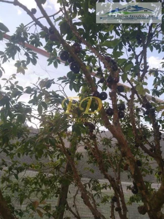 Imagem Sitio em Bragança Paulista