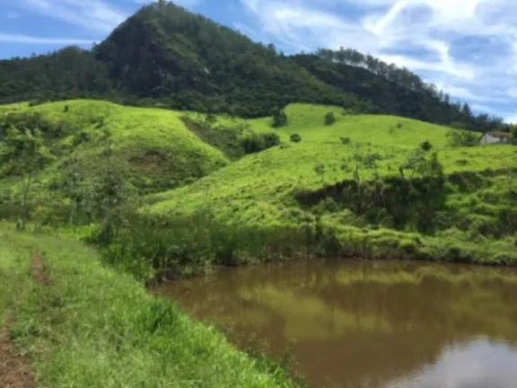 Imagem Fazenda à Venda, 20.000 m² em Vila Pontilhão - Cruzeiro