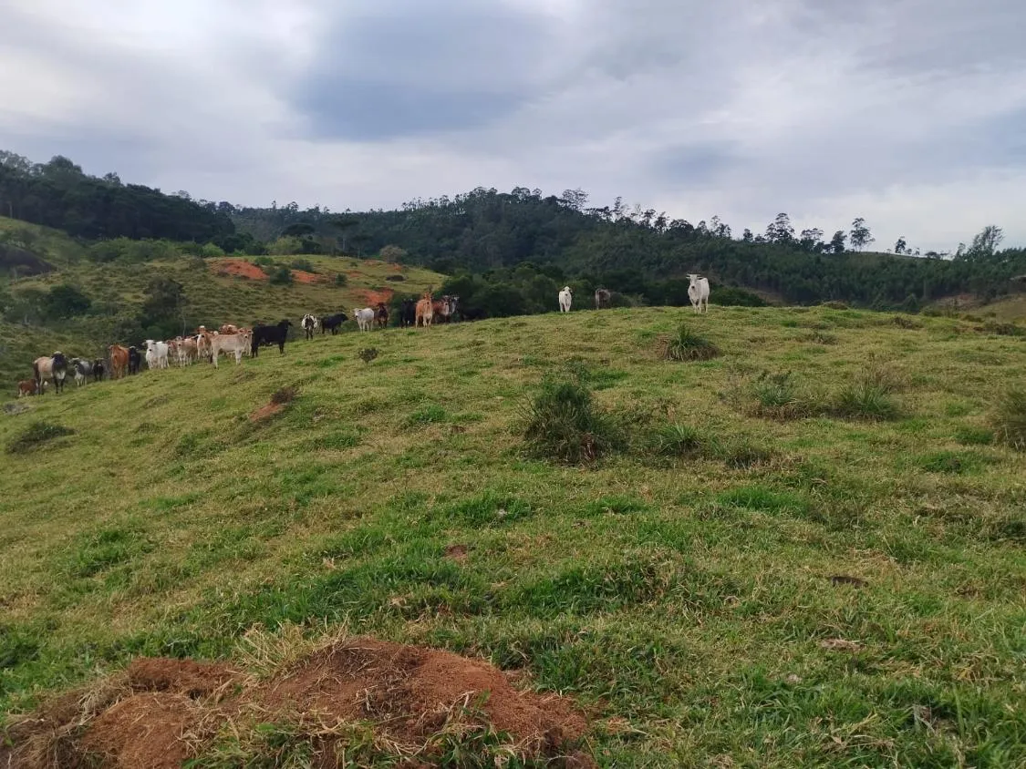 Imagem Terreno com 20.000 m² ? A Apenas 3 km de Piracaia!