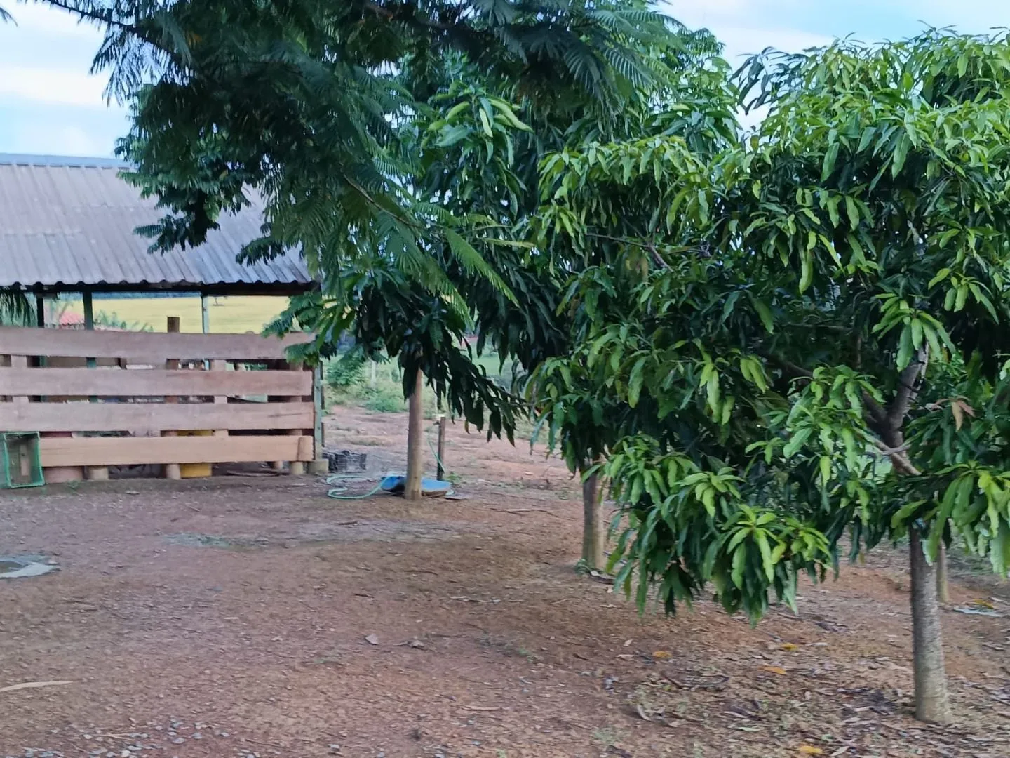 Imagem Chácara à venda, 20000 m² por R$ 430.000,00 - Área Rural de Patos de Minas - Patos de Minas/MG