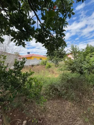 Imagem Sitio a venda