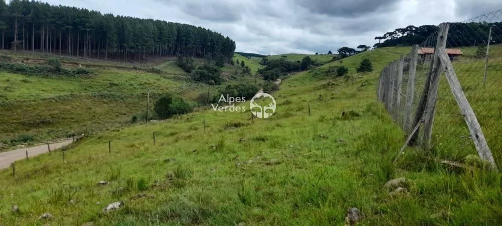 Terreno á venda por R$ 115.000,00 - Vila Eletra, São Francisco de Paula/RS