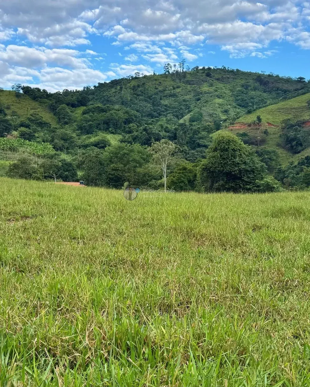 Imagem Imóvel