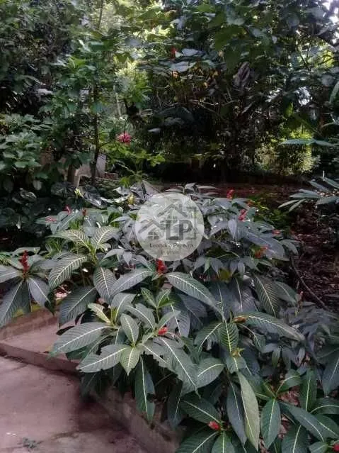 Imagem Sítio Engenheiro Paulo de Frontin, RJ