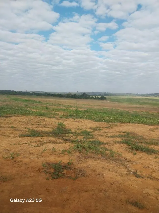 Imagem Vendo excelente fazenda em Lagoa da Prata/MG 376 hectares de terra