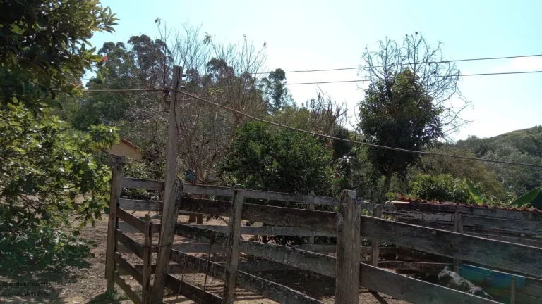 Imagem SITIO RURAL em CALDAS - MG, COROADO