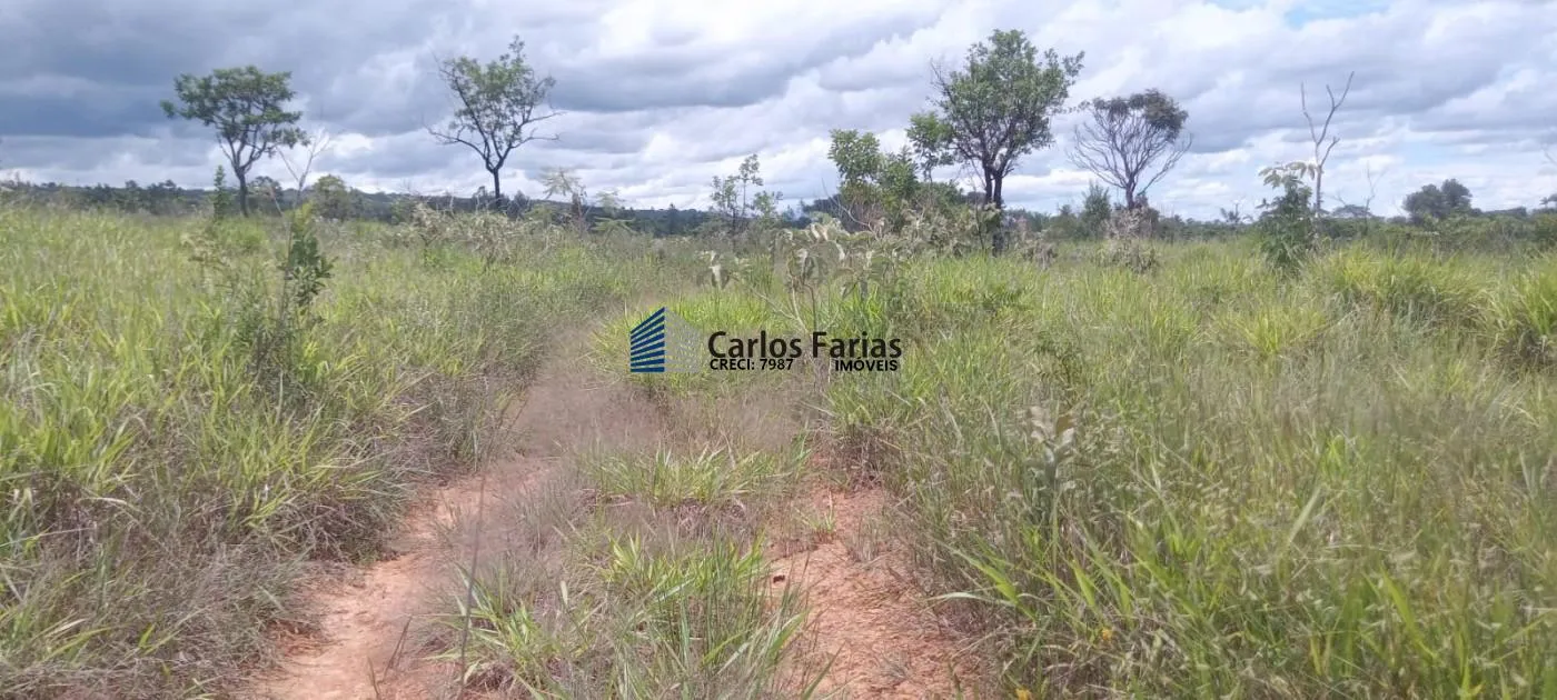 Imagem Chácara para Venda em Brasília, Setor Habitacional Tororó (Jardim Botânico)