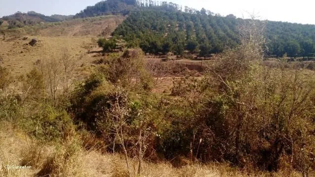 Imagem Terreno para Venda em Socorro / SP no bairro Camanducaia do Meio