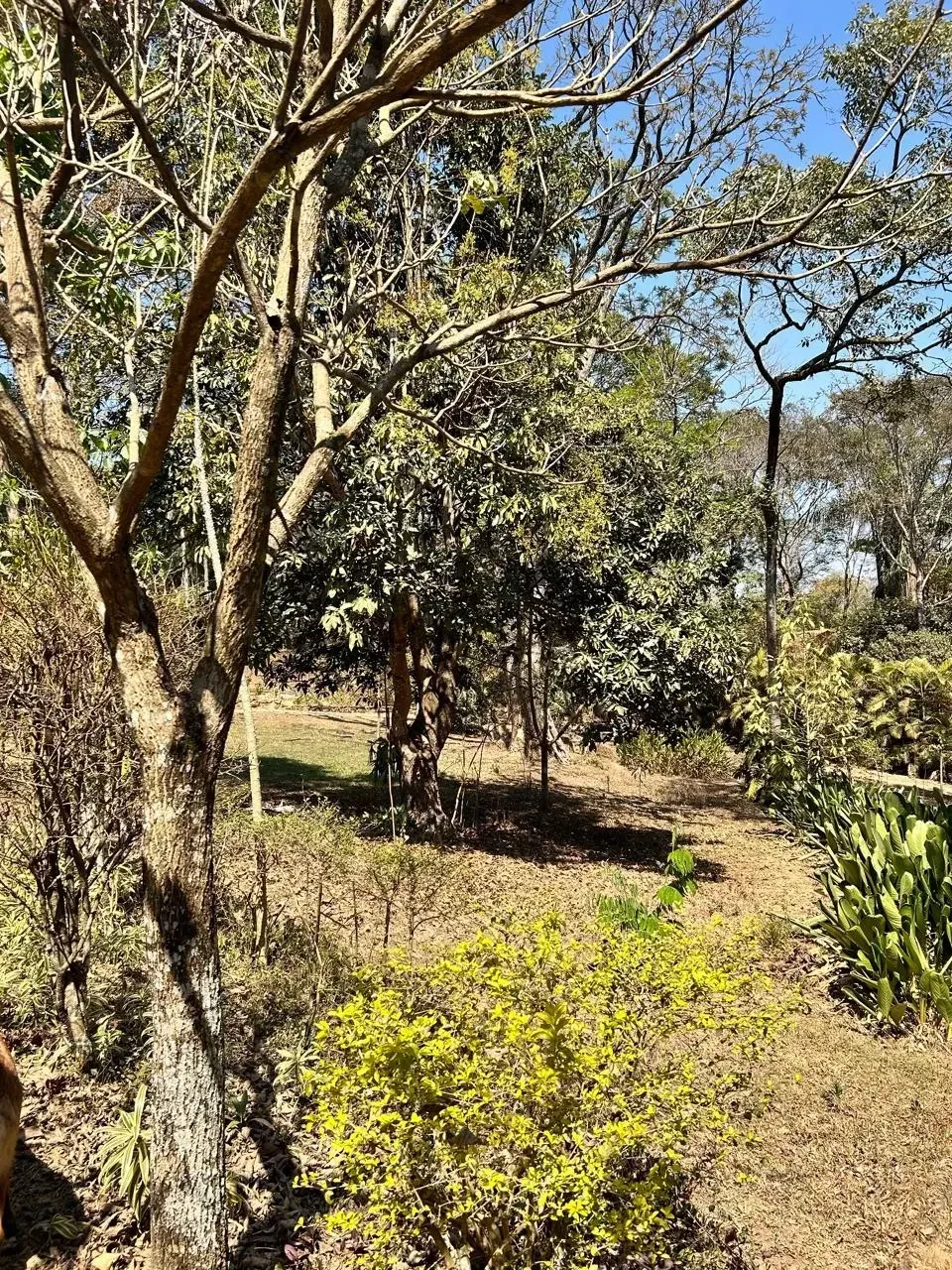 Imagem Sítio à Venda, 4700 metros em Parque Ipiranga - Betim