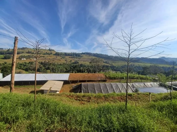 Foto do imóvel Área Agrícola para Venda em Concórdia, Interior em Terra Vermelha