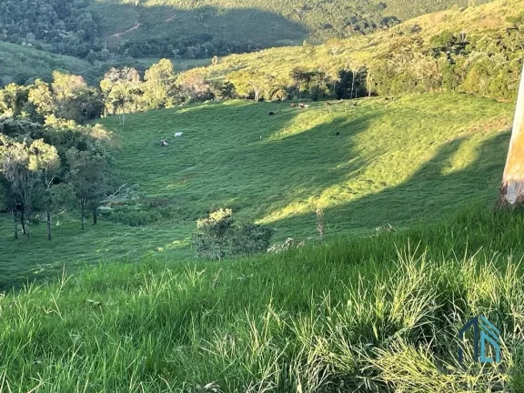 Imagem Sítio lindo a venda em ótima localização linha União da Serra em Guaraniaçu - PR