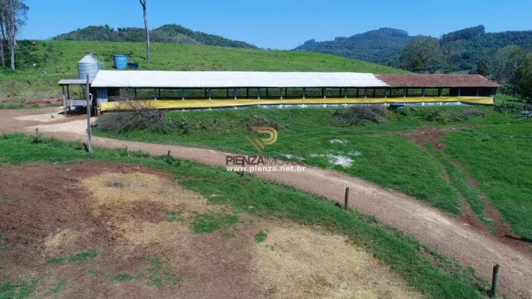 Imagem Área Agrícola para Venda em Concórdia, Comunidade Barra Seca Proximo Br 153