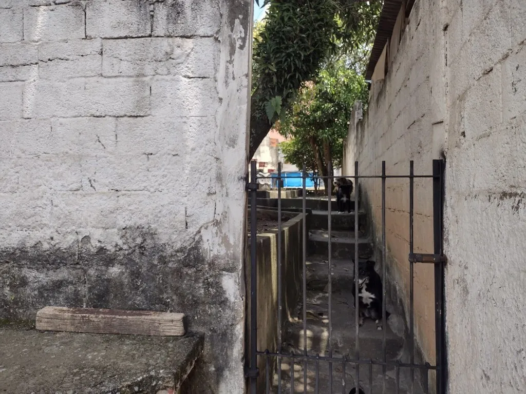 Imagem Imperdível Casa à Venda em Santo André-SP, Parque Oratório: 6 Quartos, 3 Banheiros, 2 Vagas, 430m² de Área