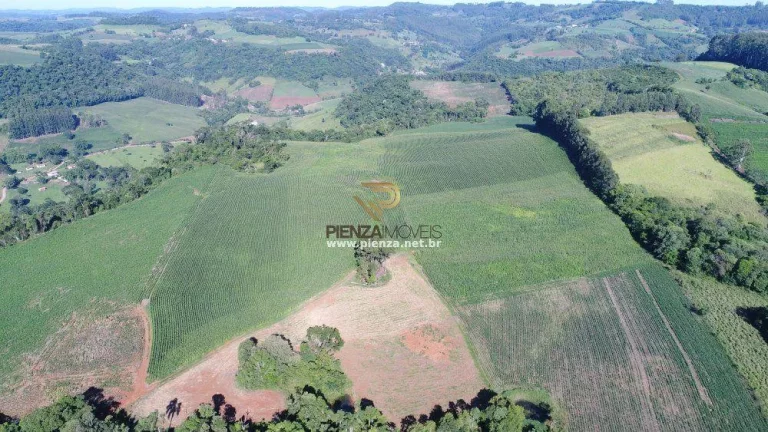 Imagem Área Agrícola para Venda em Lindóia do Sul, Rural