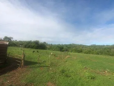 Imagem Excelente Fazenda em Funilândia/MG 112 hectares de terra