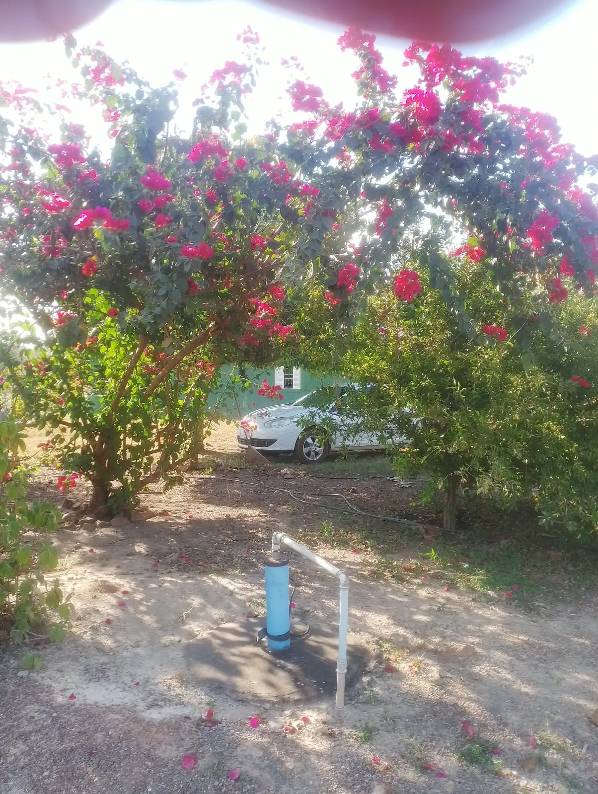 Imagem Fazenda 10km do Bairro Pedra 90