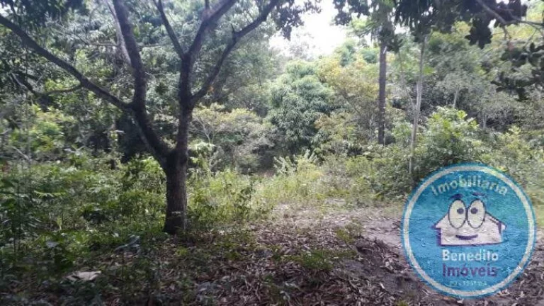 Imagem Vendo excelentes terrenos no centro de Trancoso, litoral da Bahia.