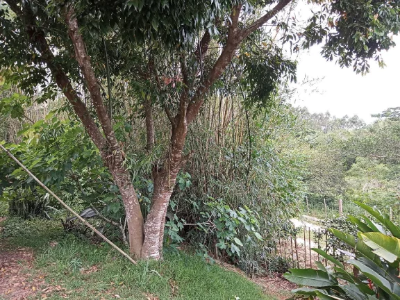 Imagem Sítio Rural com 3.6 hectares, açude, localizado no Capão da porteira