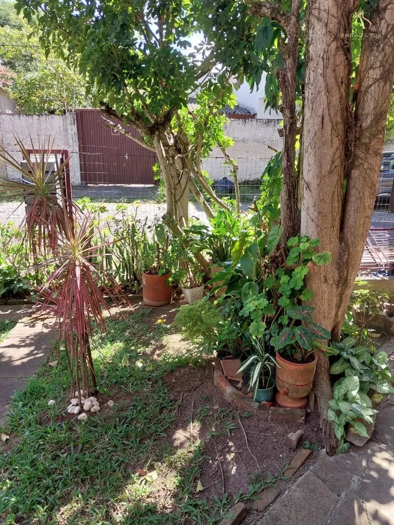 Imagem Apartamento em Passo da Areia