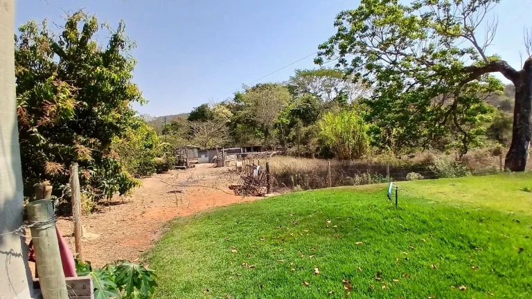Imagem Chácara à venda em Goianésia/GO