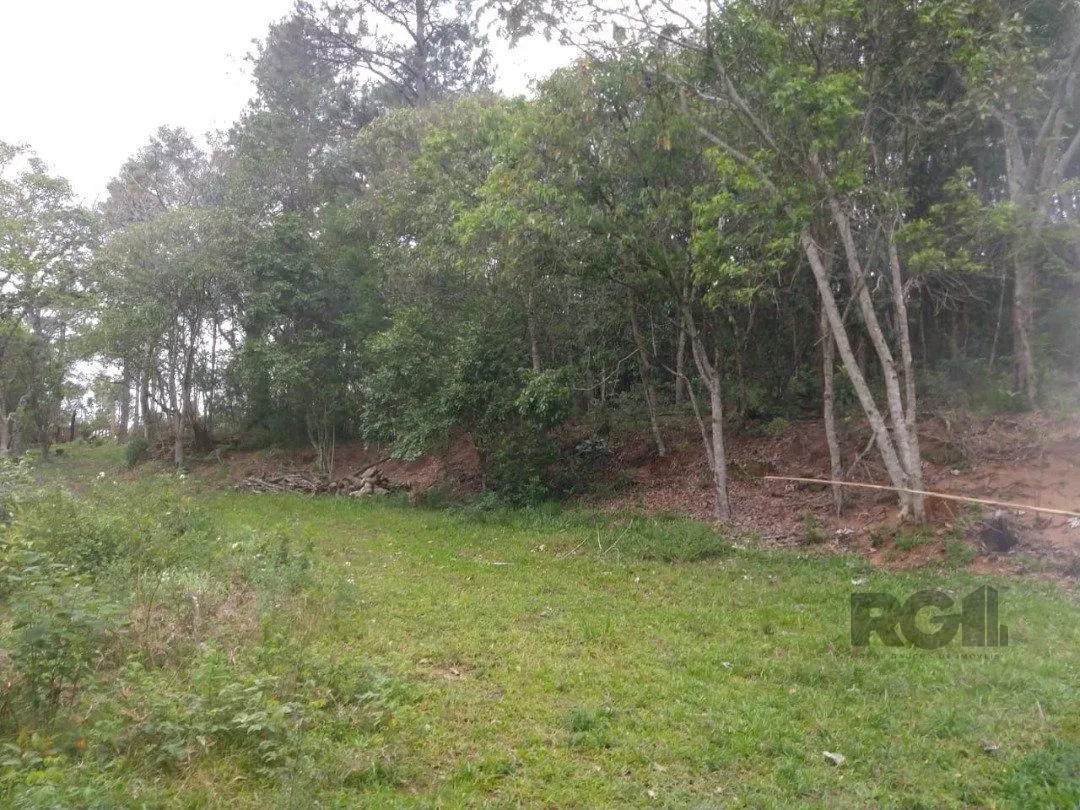 Imagem Area 6,69ha | Bairro Belem Velho
