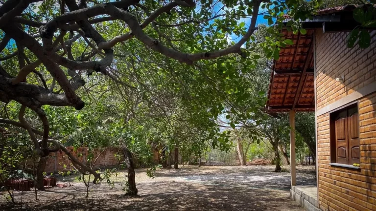 Imagem Casa na Beira do Rio Preguiça em Barreirinhas