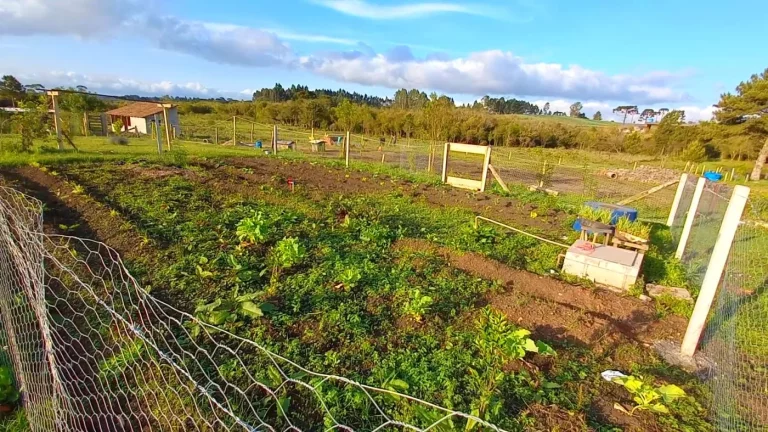Imagem Chácara para Venda em Tijucas do Sul, Ambrósio