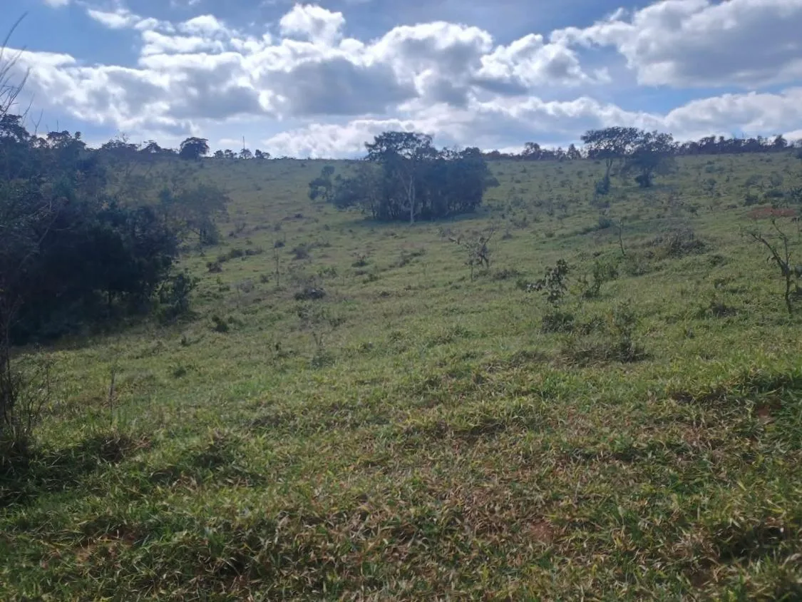 Imagem Excelente terreno rural com área de 10 hectares a venda em PASSA TEMPO/MG