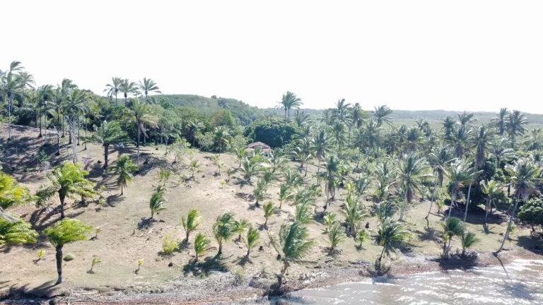 Imagem Barra de Sirinhaem
