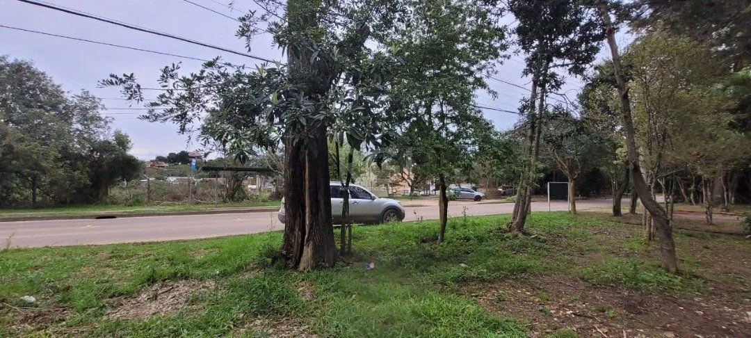 Imagem Terreno para Venda - 3.037m² no bairro Campo Novo