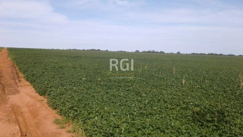 Imagem Fazenda em Centro
