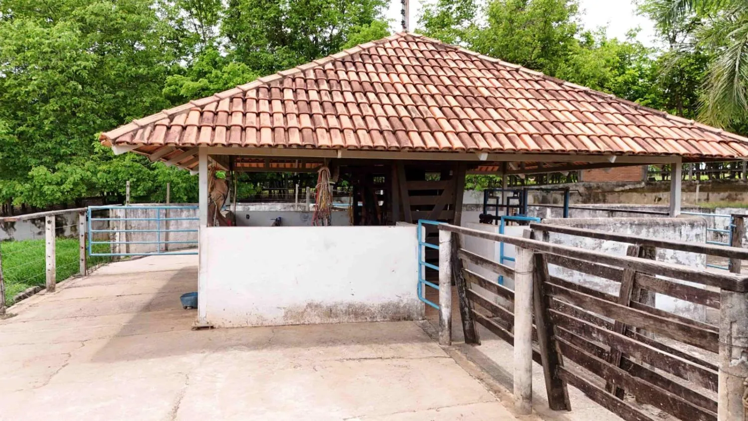 Imagem FAZENDA À VENDA - MORRO DA GARÇA (MG) 165 hectares de área total,