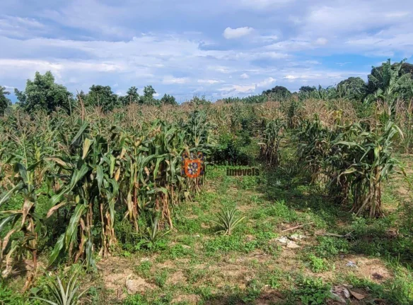 Imagem Sítio Produtivo à venda, 44500 m² por R$ 1.250.000 - Monte Mor - Monte Mor/SP