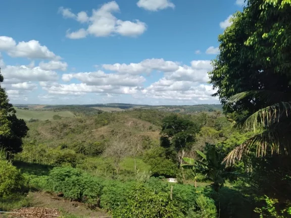 Imagem Terreno de 3000m² à venda, localizado em Chã de Onça, Paudalho - Pernambuco.