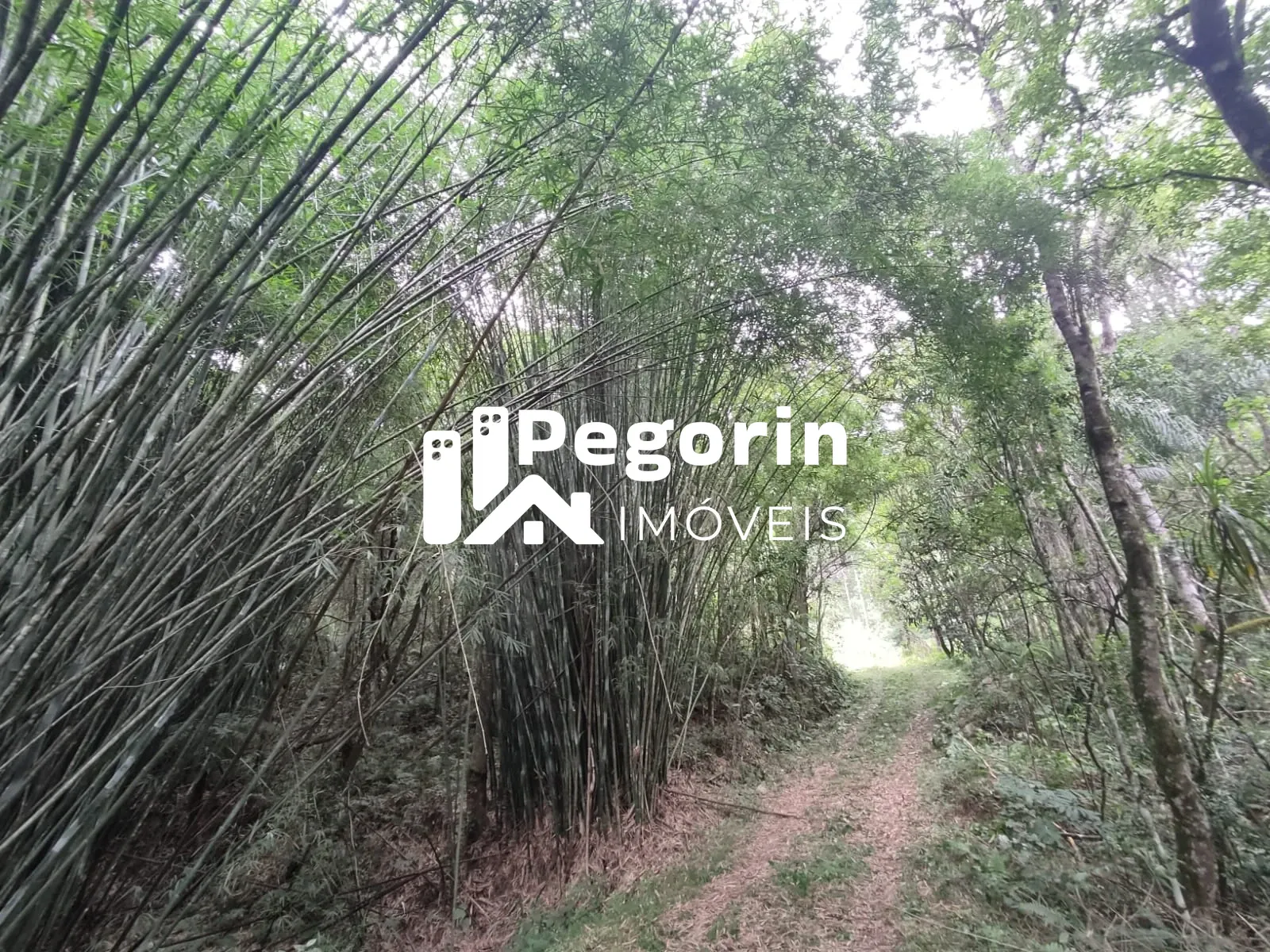 Imagem CHÁCARA EM CAMPO MAGRO 51.000M²