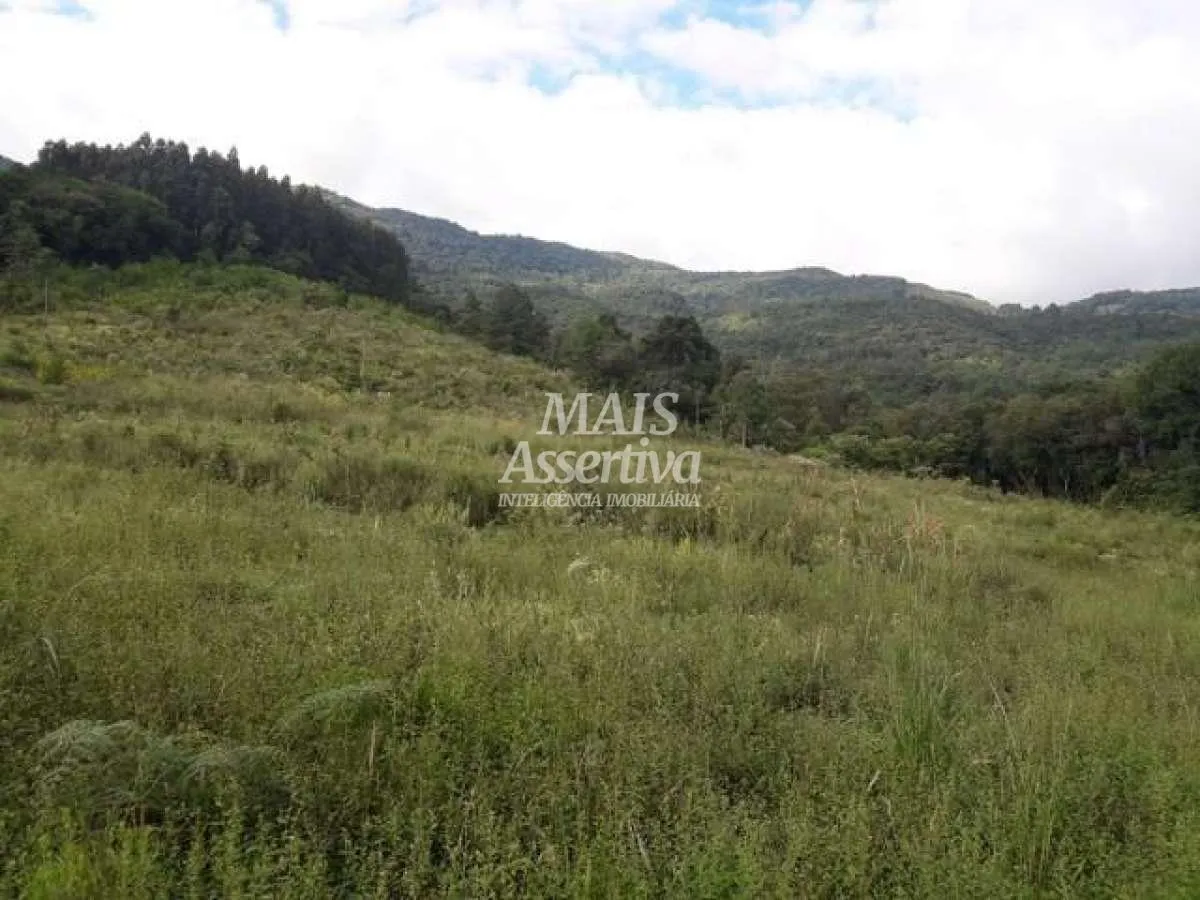 Imagem Sítio para Venda em São Francisco De Paula / RS no bairro Boa Vista