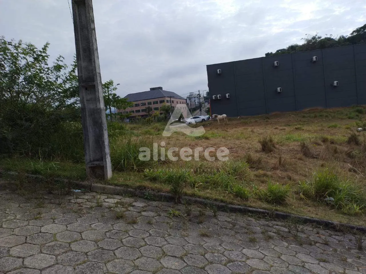 Imagem Terrenos planos, prontos pra construir em Forquilhas - São José - SC