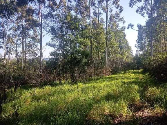 Imagem Excelente Área para Investimento - 29 Hectares, Pimenta, Viamão/RS