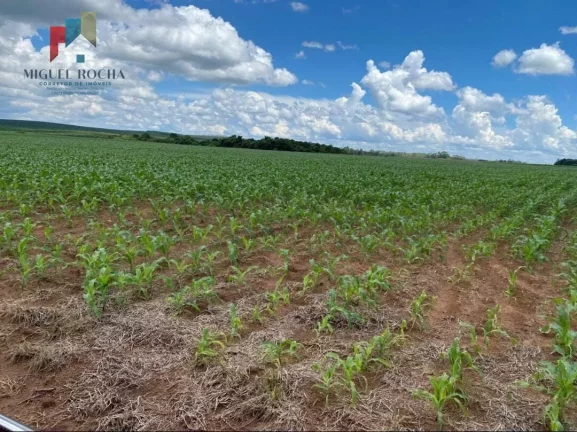 Imagem Fazenda região de Avaré SP