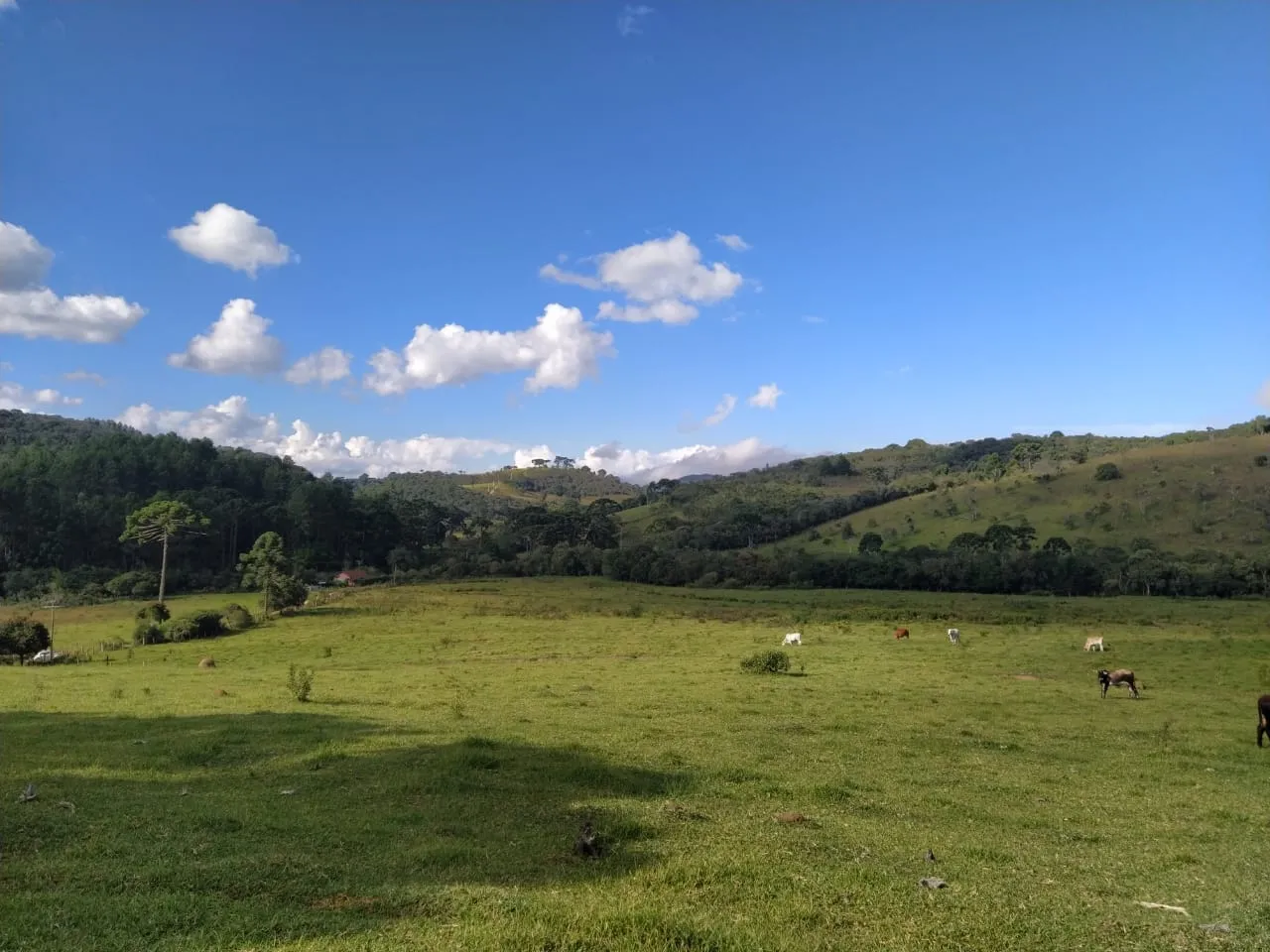 Imagem Chácara à venda 20000M², Aparição, Cunha - SP