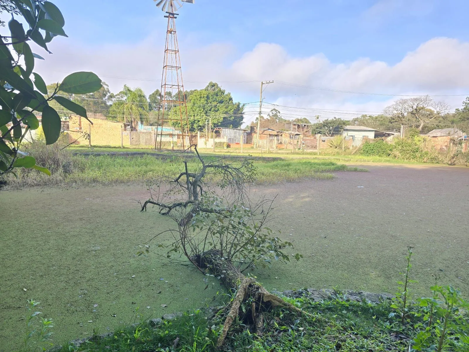 Imagem Sitio na Restinga com 2 casas e ótima oportunidade para investimento