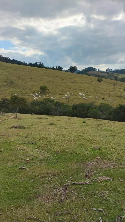 Imagem Fazenda à Venda em Belo Vale/MG | 42 Hectares | R$ 2.800.000,00