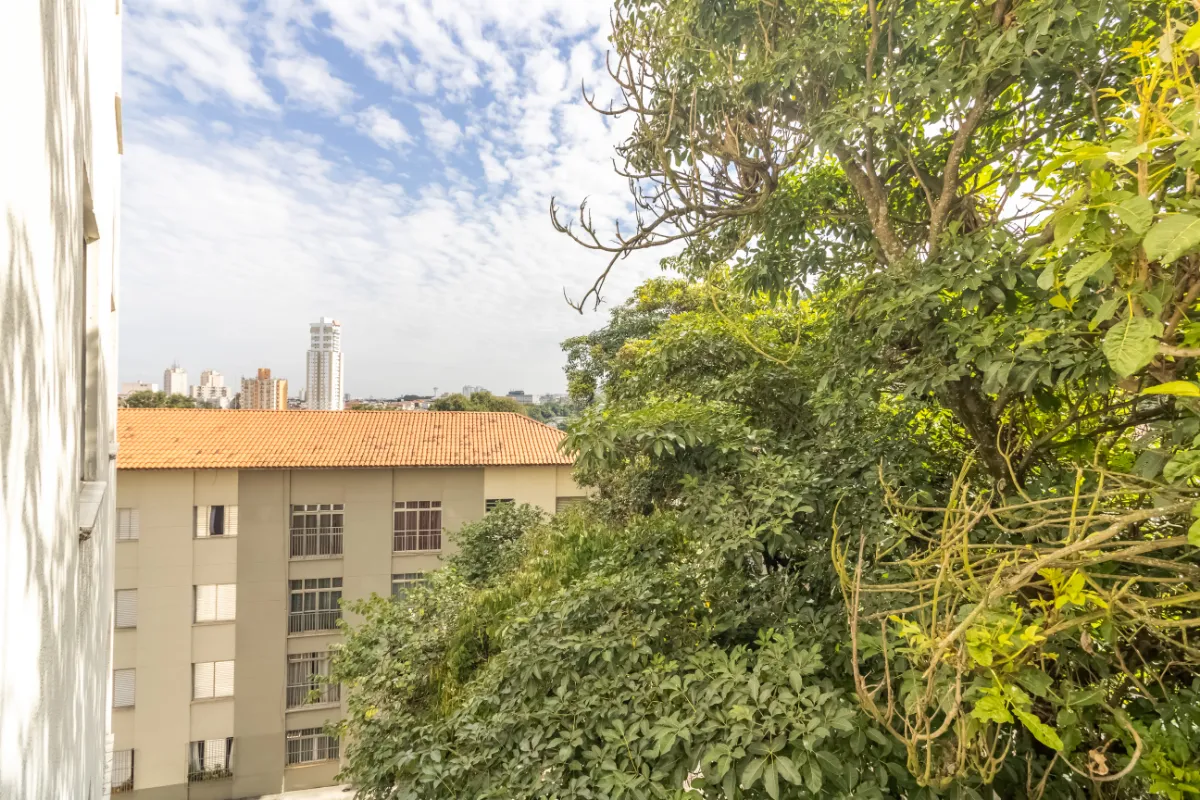 Imagem Apartamento para venda em Vila Nova Cachoeirinha com 2 quartos, 49m2