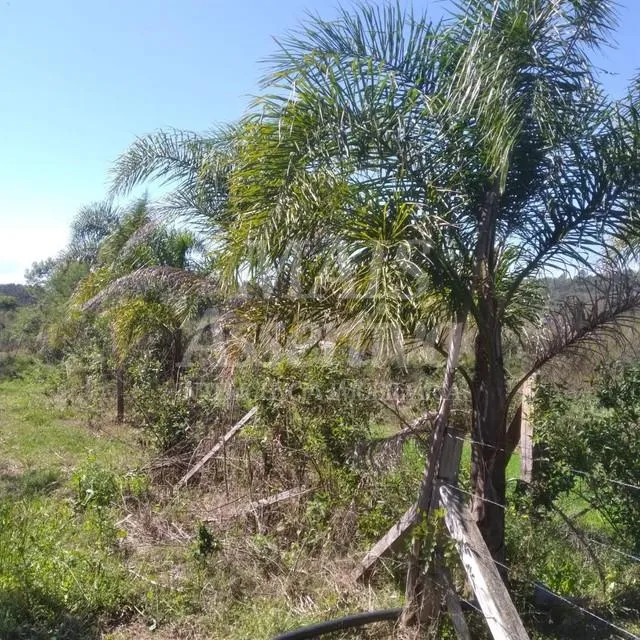 Imagem Terreno para venda de 1700m², Santa Cruz da Concórdia em Taquara/RS.