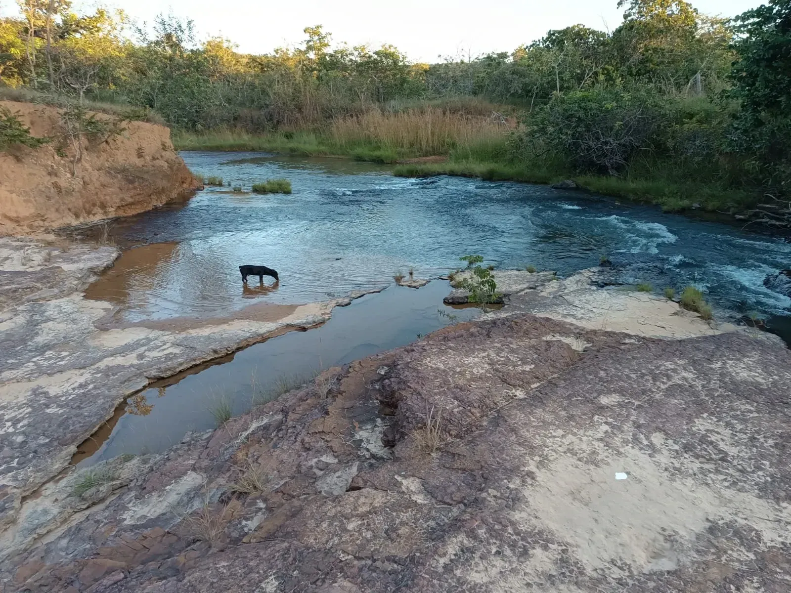 Imagem Fazenda à Venda, 247 HA em Samambaia Sul - Brasília