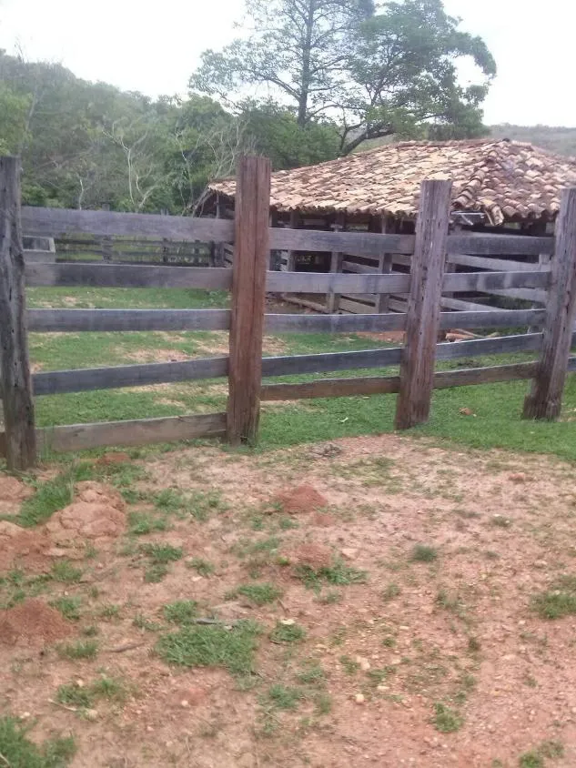 Imagem FAZENDA À VENDA EM SANTANA DO PIRAPAMA ? MG , com 338 hectares de terra