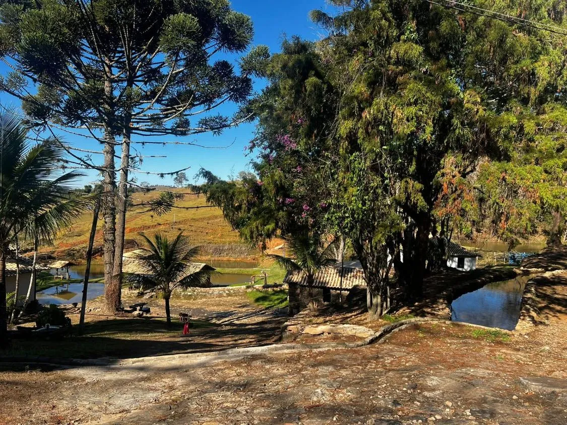 Imagem Excelente fazendinha à venda em Carmópolis de Minas, com área total de 54 HECTARES